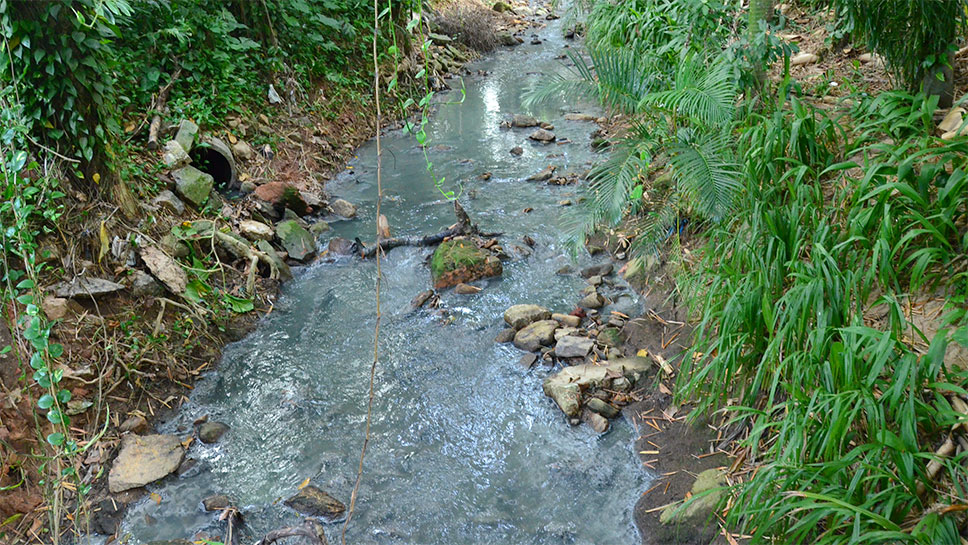 Vazamento de esgoto polui Rio Rainha na Gvea